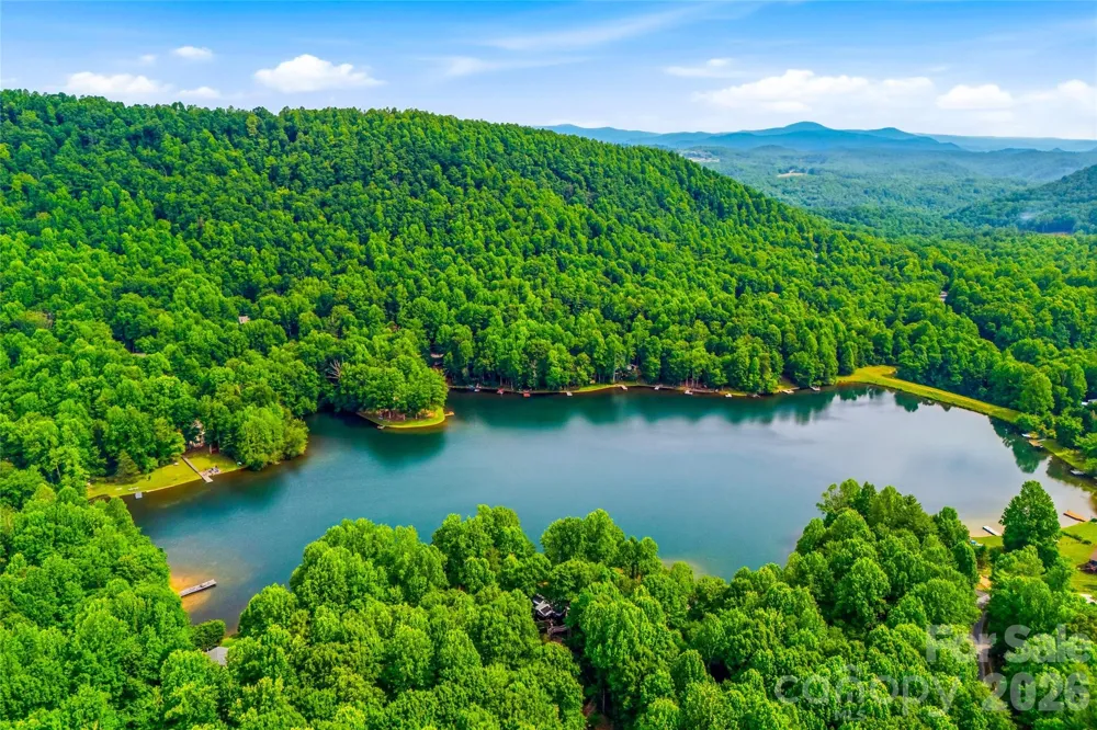 233 Tanglewood Lane Saluda, NC 28773