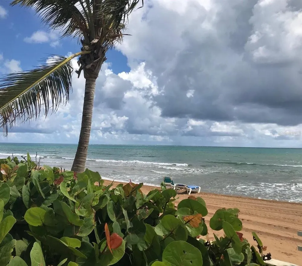 Cluster 2 6000 RIO MAR BOULEVARD #5D Rio Grande, PR 00745