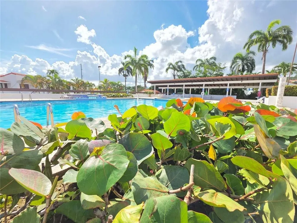 Cluster 2 6000 RIO MAR BOULEVARD #5D Rio Grande, PR 00745