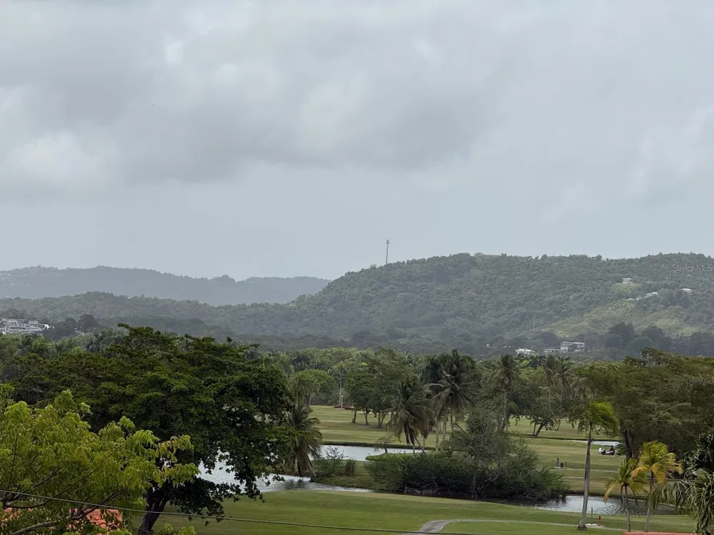Cluster 2 6000 RIO MAR BOULEVARD #5D Rio Grande, PR 00745