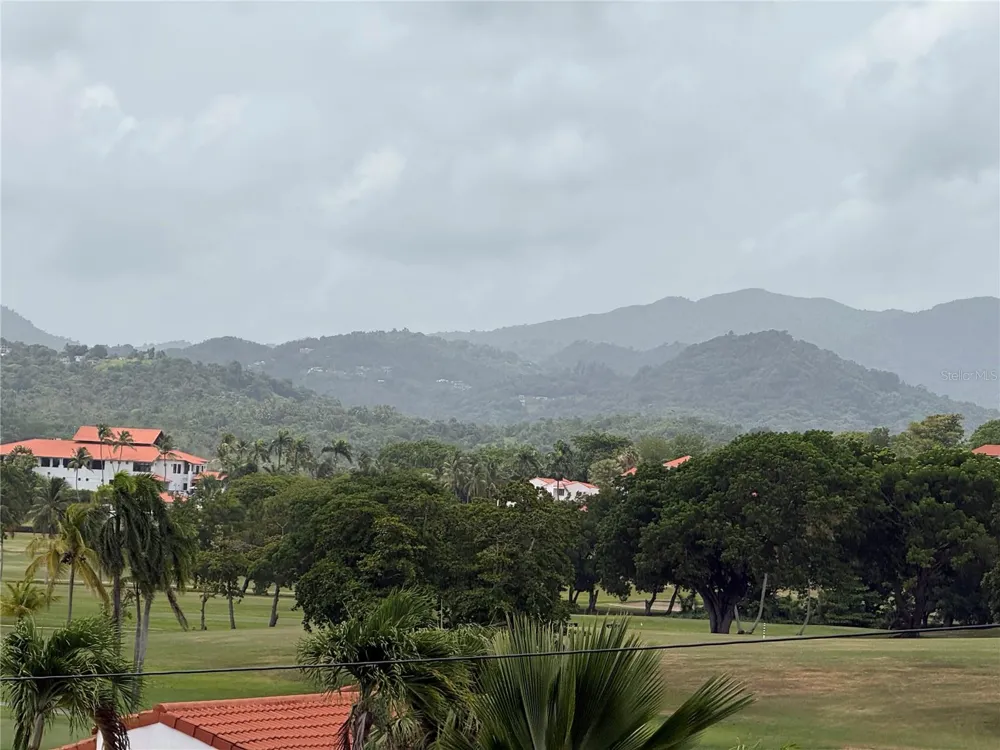 Cluster 2 6000 RIO MAR BOULEVARD #5D Rio Grande, PR 00745