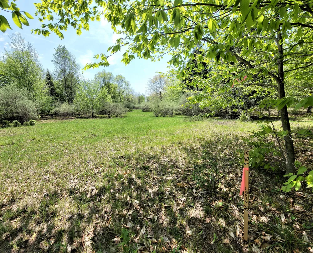 Smith Road #Lot 40 Onekama, MI 49675