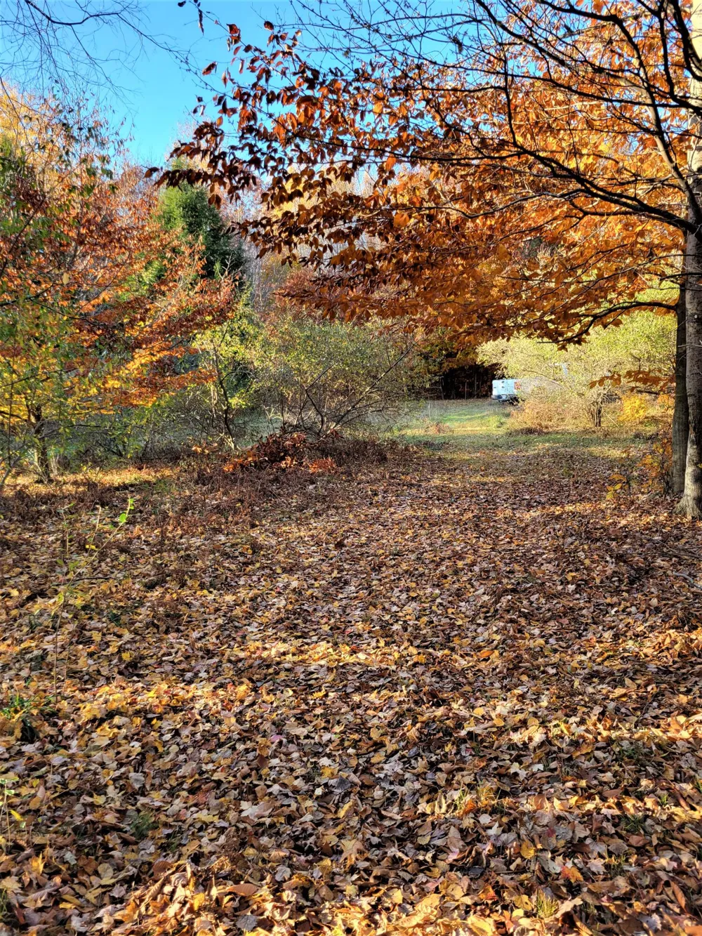 Smith Road #Lot 40 Onekama, MI 49675