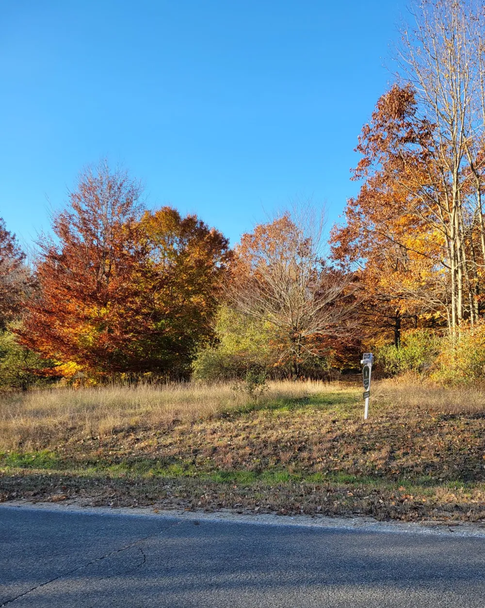 Smith Road #Lot 40 Onekama, MI 49675