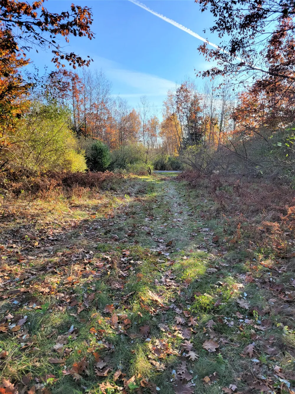 Smith Road #Lot 40 Onekama, MI 49675
