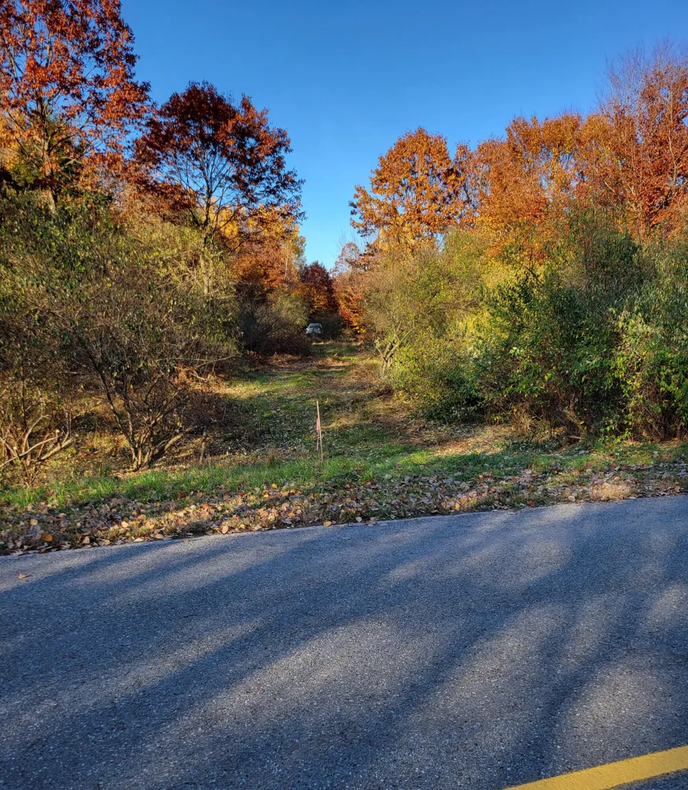 Smith Road #Lot 40 Onekama, MI 49675