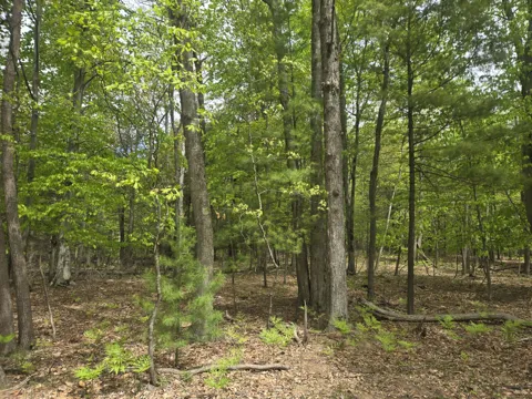 Ridge Road