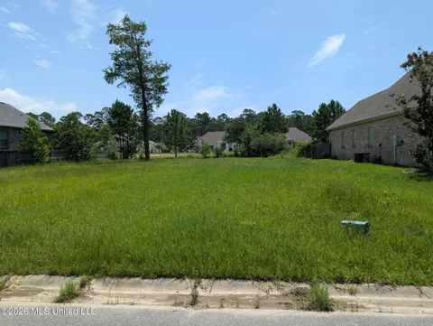 Old Savannah Drive