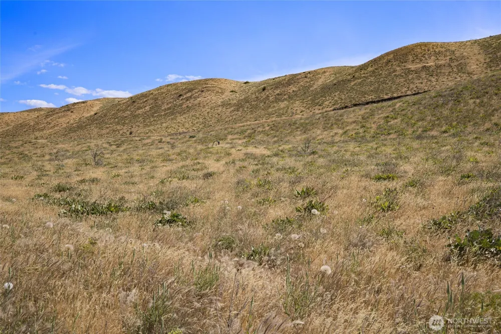 1110 Ellensburg Ranches Rd Ellensburg, WA 98926