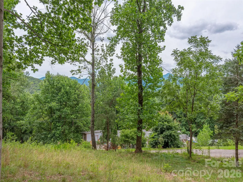 87 Holly Ridge Road Candler, NC 28715