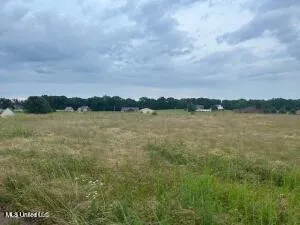2836 Oak Grove Cove Hernando, MS 38632