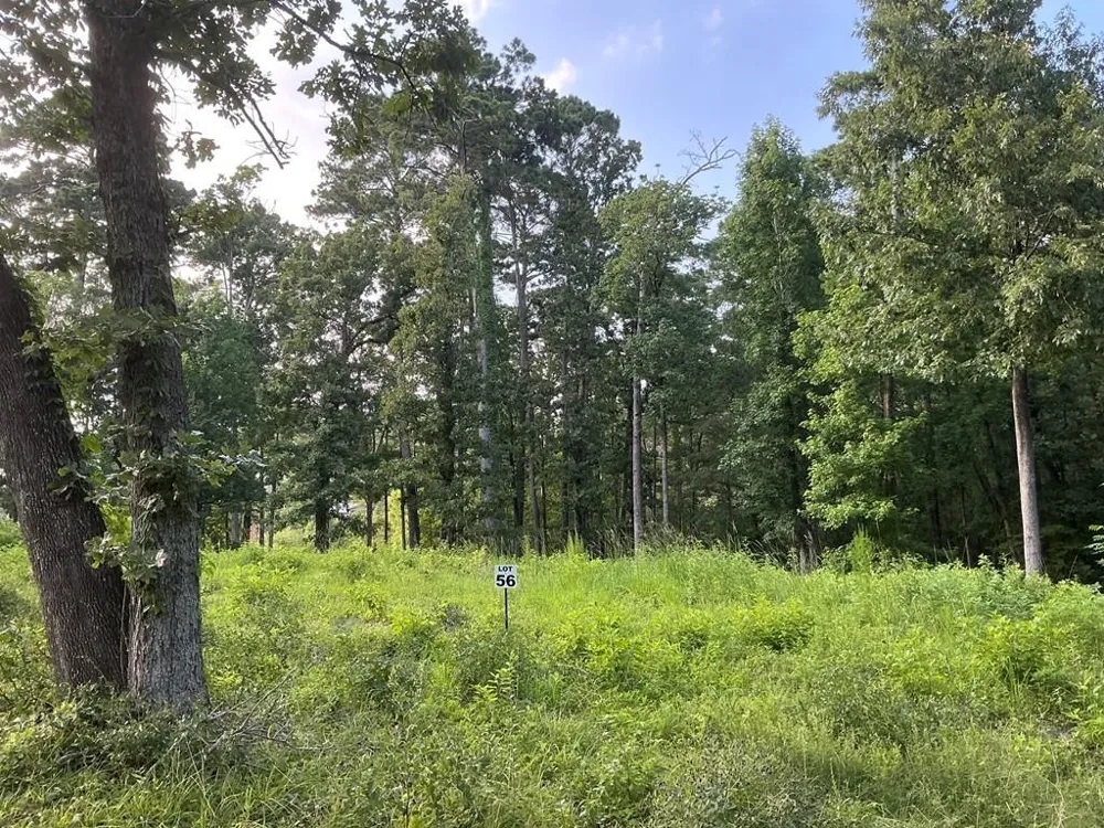 55 Pr 7830 Broaddus, TX 75929