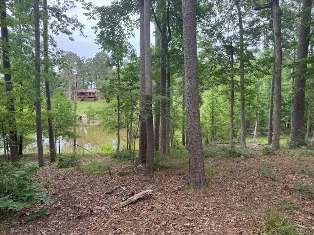 55 Pr 7830 Broaddus, TX 75929