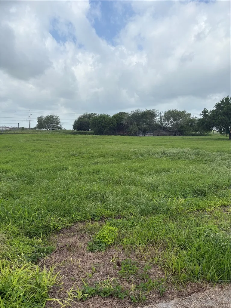 1814 Lodge Lane Corpus Christi, TX 78409
