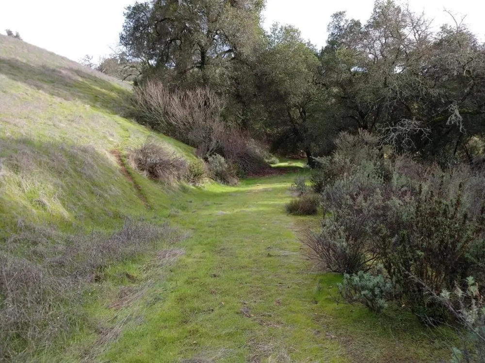17880 Oak Glen Avenue Morgan Hill, CA 95037