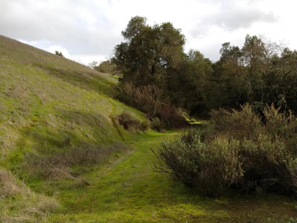 17880 Oak Glen Avenue Morgan Hill, CA 95037