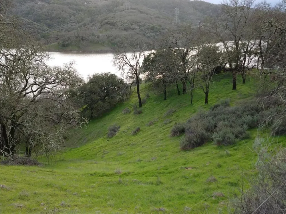 17880 Oak Glen Avenue Morgan Hill, CA 95037