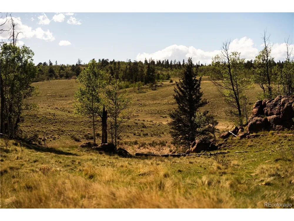 1280 Antler Ridge Road Como, CO 80432