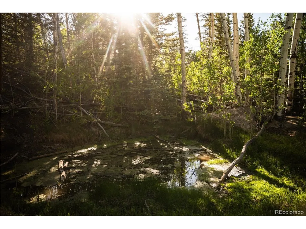 1280 Antler Ridge Road Como, CO 80432