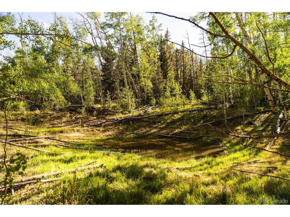 1280 Antler Ridge Road Como, CO 80432