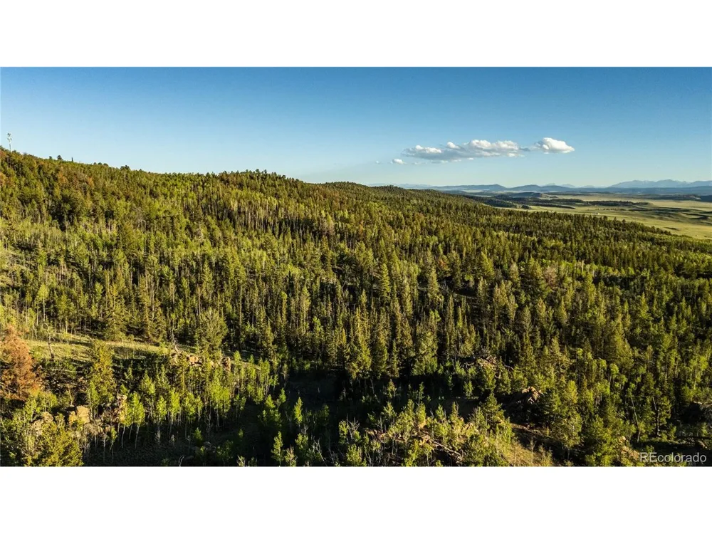 1280 Antler Ridge Road Como, CO 80432