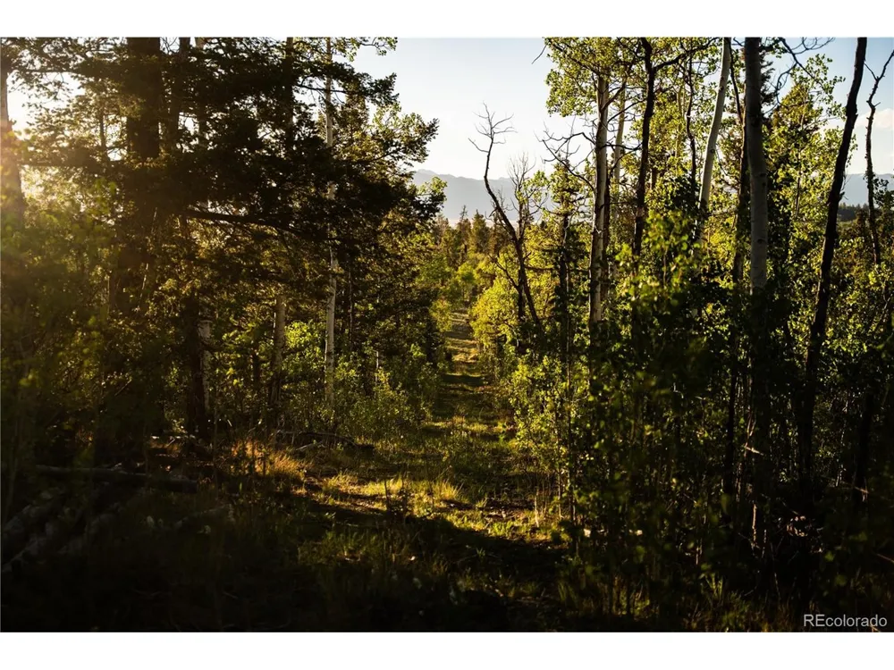 1280 Antler Ridge Road Como, CO 80432