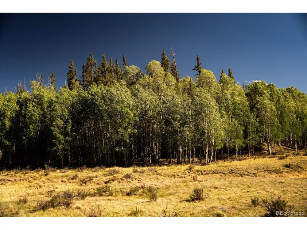 1280 Antler Ridge Road Como, CO 80432