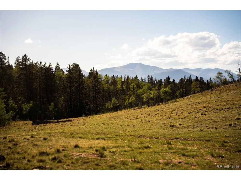 1280 Antler Ridge Road Como, CO 80432