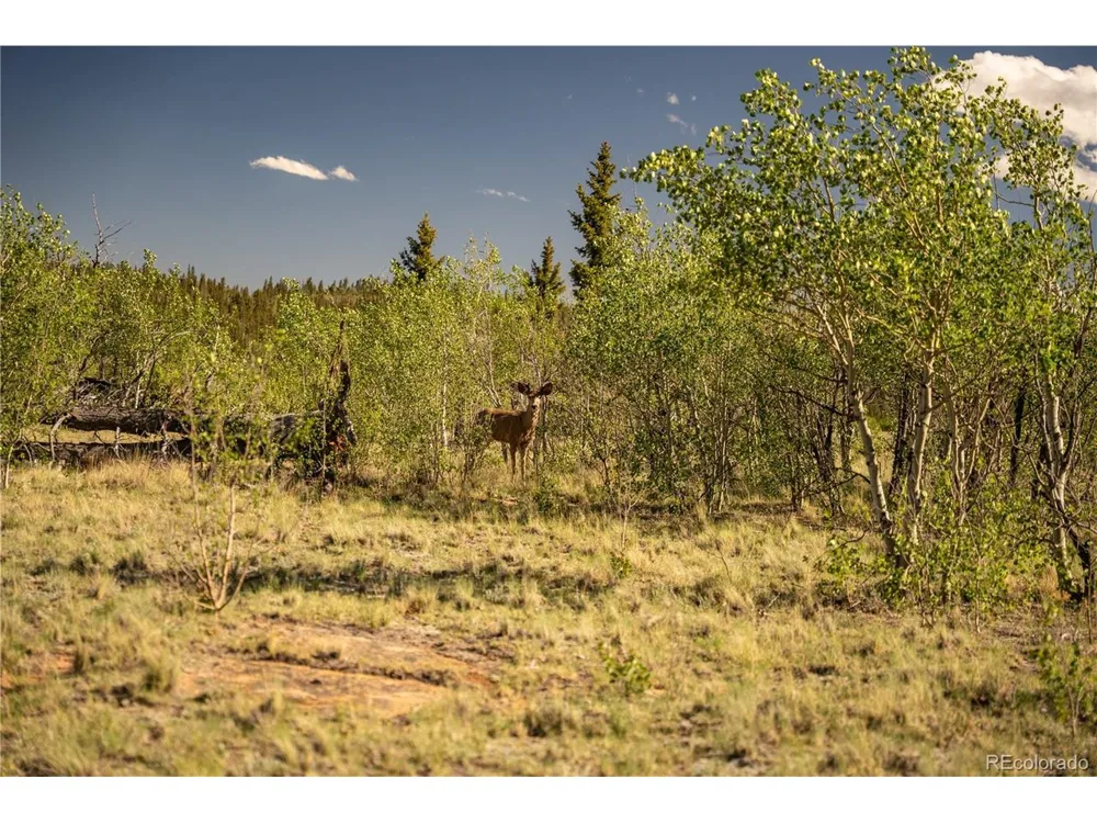 1280 Antler Ridge Road Como, CO 80432