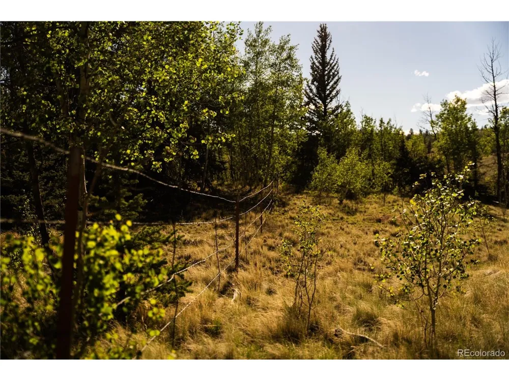 1280 Antler Ridge Road Como, CO 80432