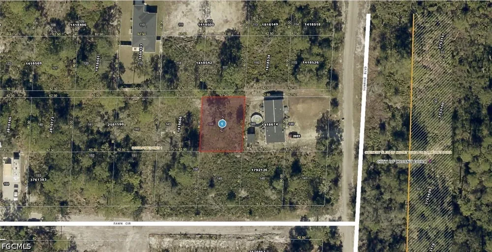 Sunrise Boulevard Mount Dora, FL 32757