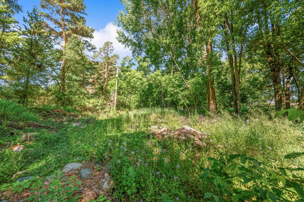 318 S 3rd Avenue Big Rapids, MI 49307