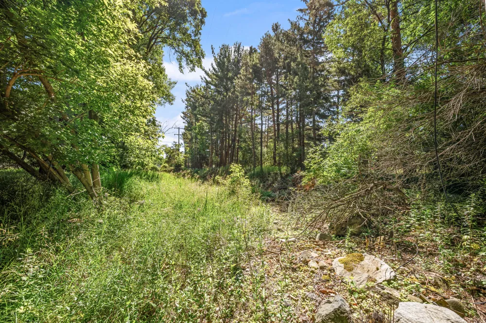 318 S 3rd Avenue Big Rapids, MI 49307