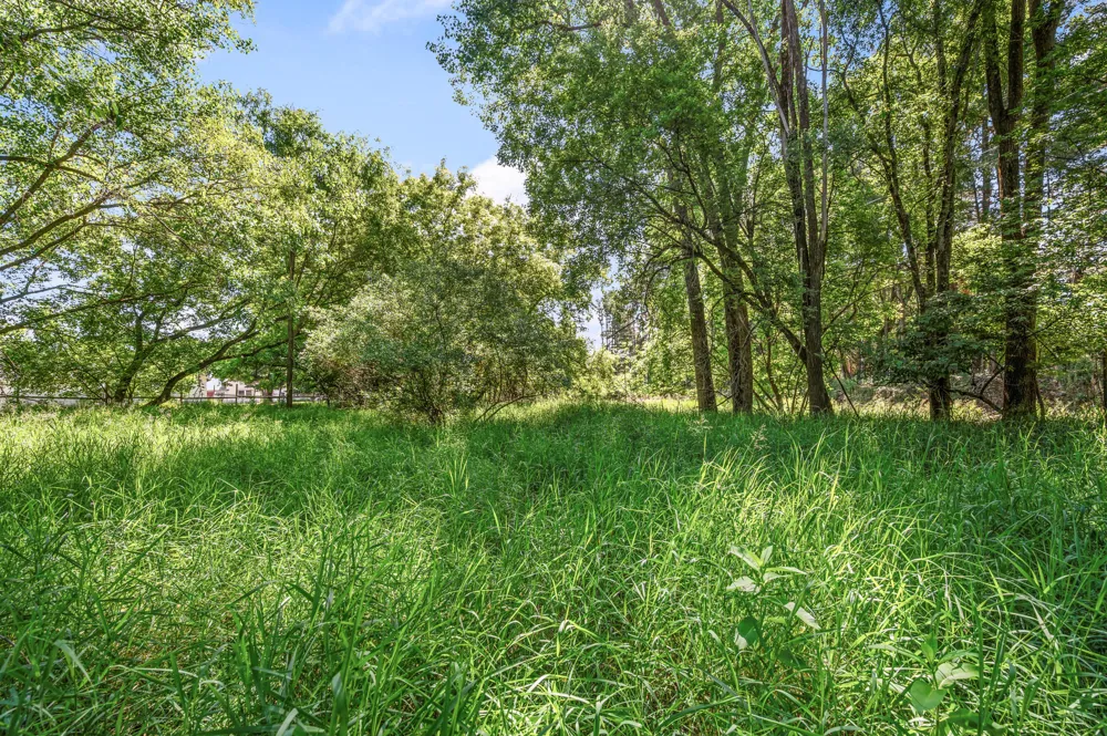 318 S 3rd Avenue Big Rapids, MI 49307