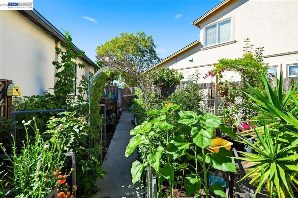 4231 Somerset Ave Castro Valley, CA 94546