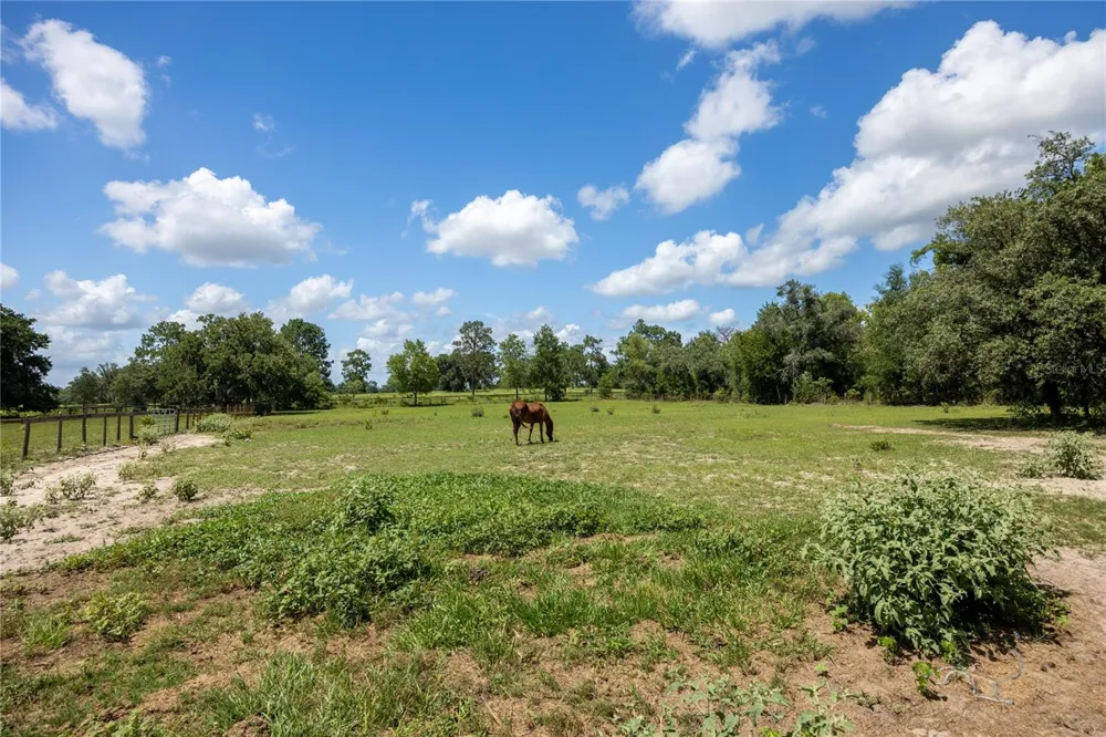 11751 SE 16TH LANE Morriston, FL 32668