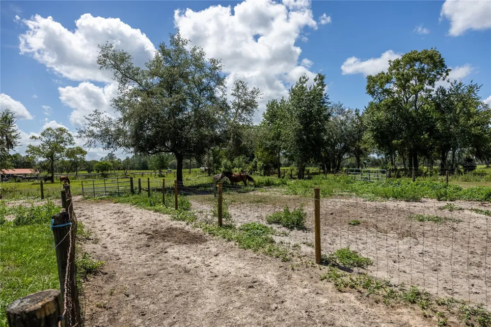 11751 SE 16TH LANE Morriston, FL 32668