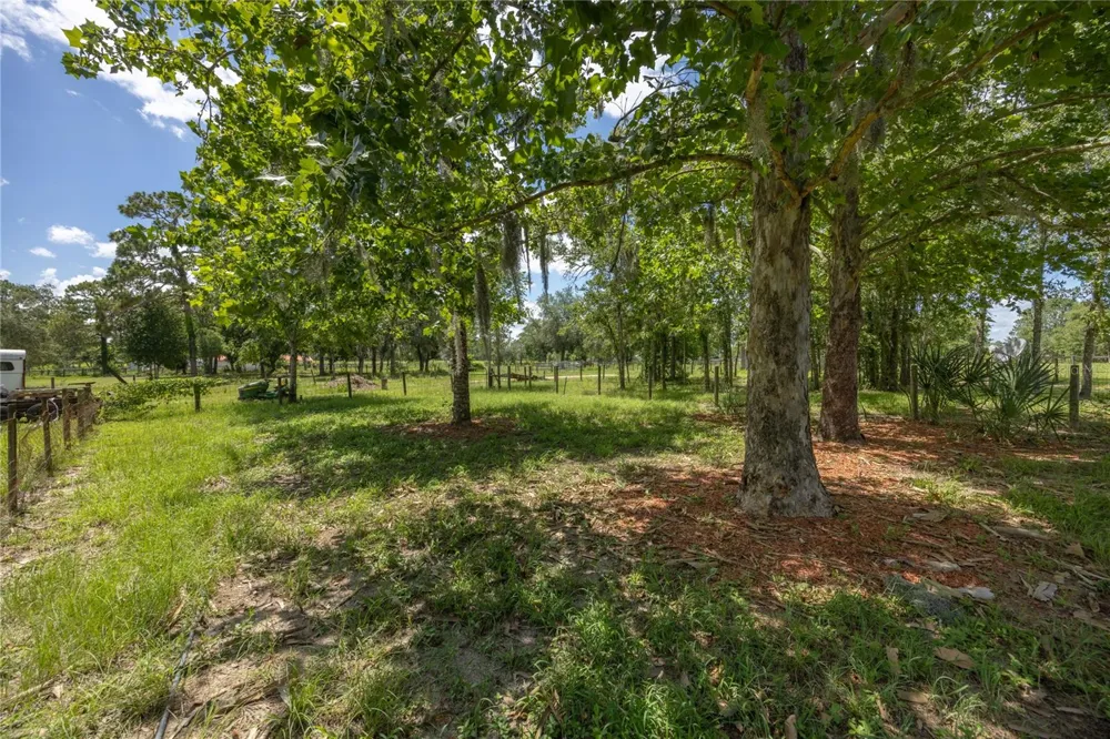 11751 SE 16TH LANE Morriston, FL 32668