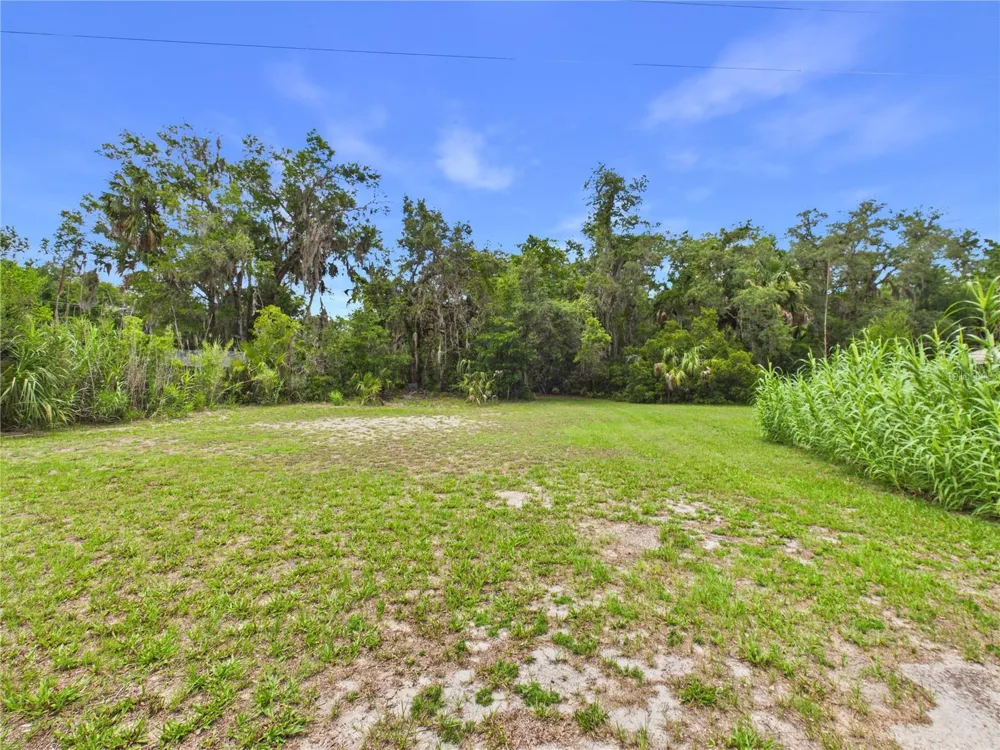 11236 RAIN POINT Inglis, FL 34449