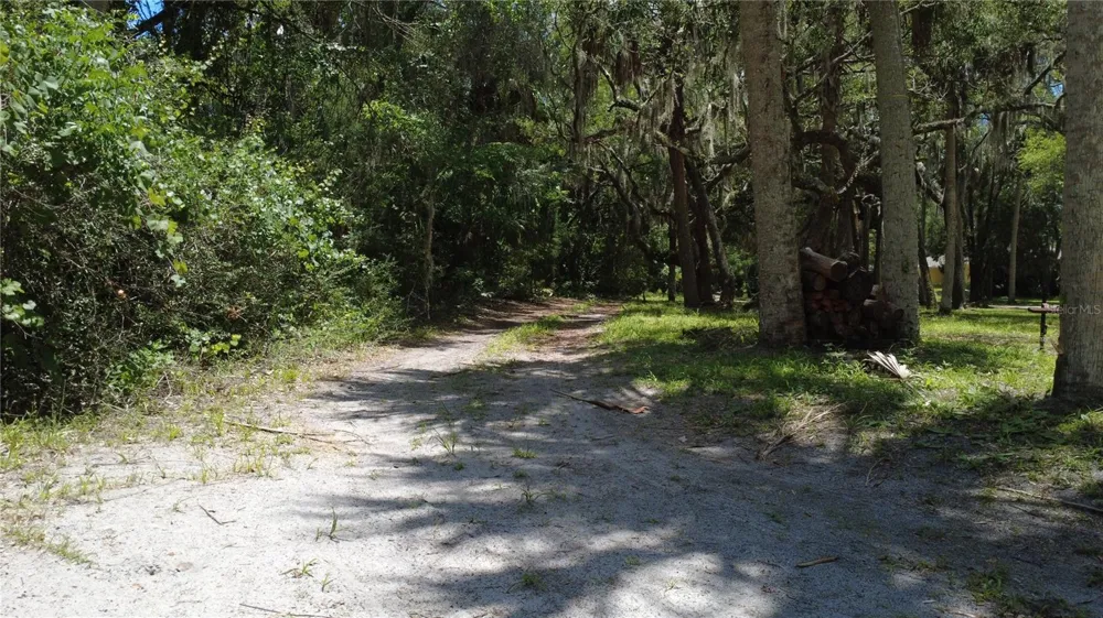 11236 RAIN POINT Inglis, FL 34449