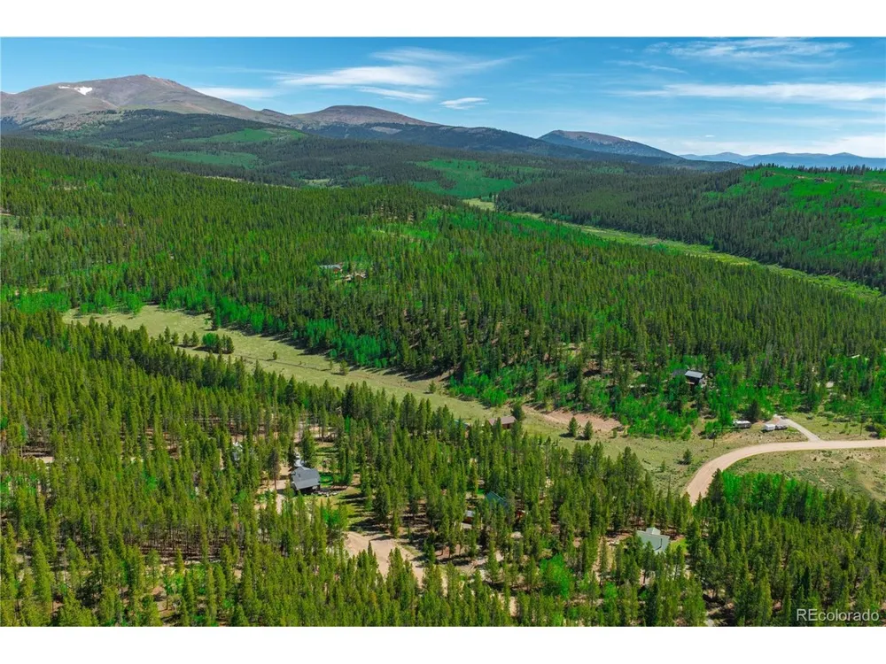 324 Ski Doo Road Fairplay, CO 80440