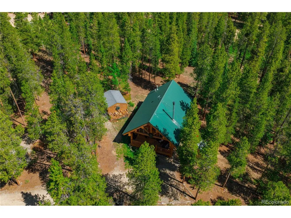 324 Ski Doo Road Fairplay, CO 80440