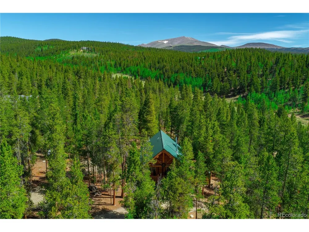324 Ski Doo Road Fairplay, CO 80440