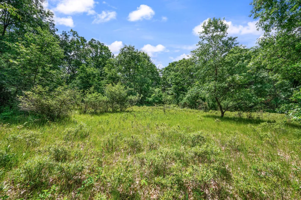 11592 80th Avenue Morton Township, MI 49332