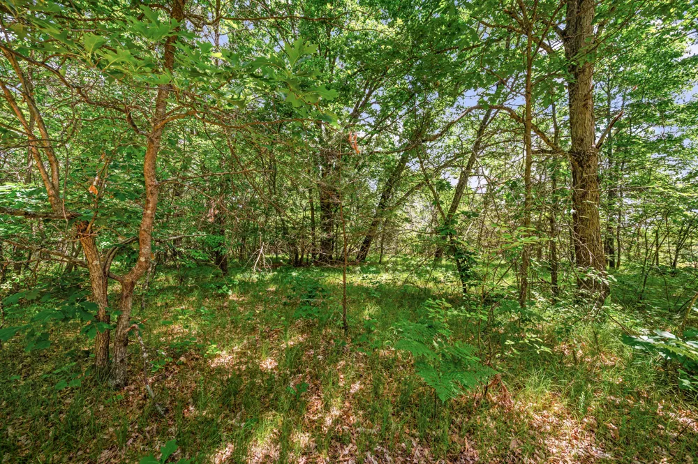 11592 80th Avenue Morton Township, MI 49332