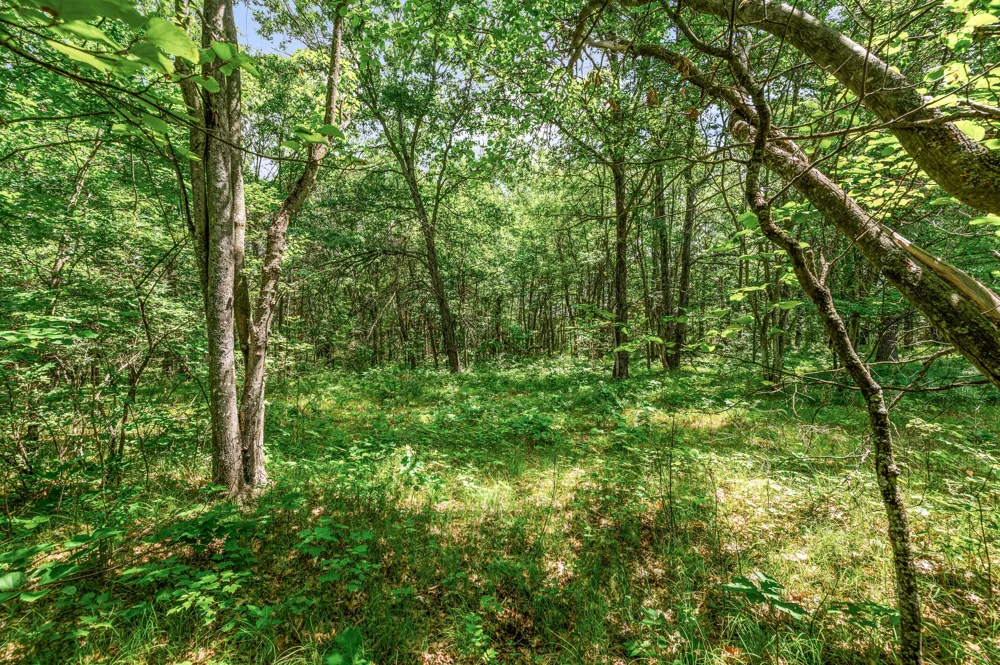 11592 80th Avenue Morton Township, MI 49332