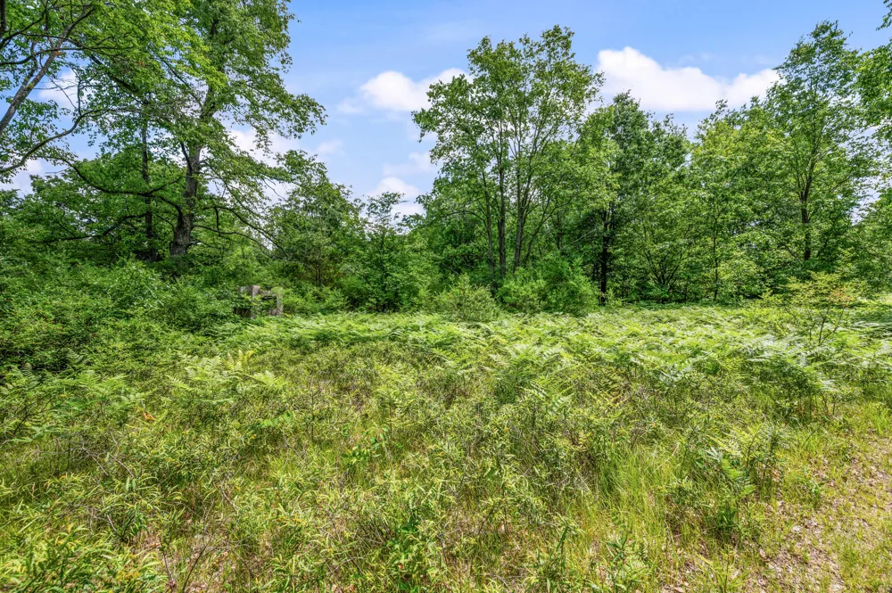 11592 80th Avenue Morton Township, MI 49332
