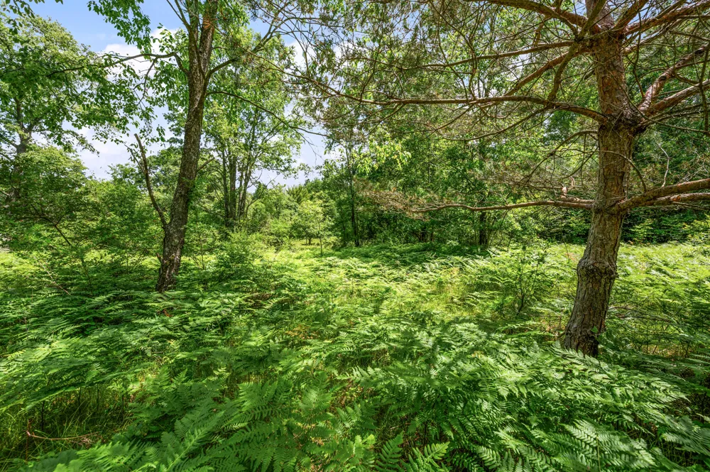 11592 80th Avenue Morton Township, MI 49332