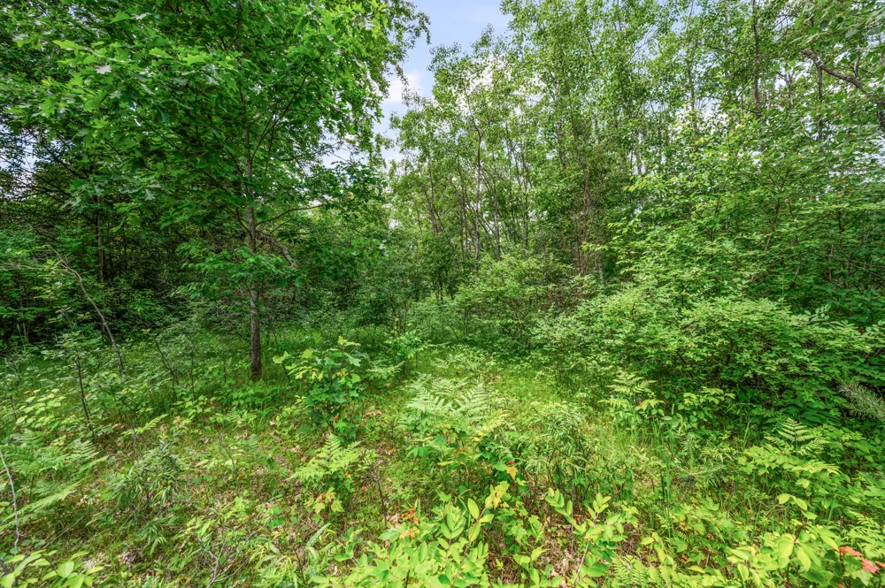 11592 80th Avenue Morton Township, MI 49332