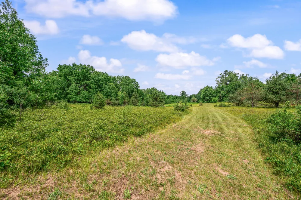 11592 80th Avenue Morton Township, MI 49332